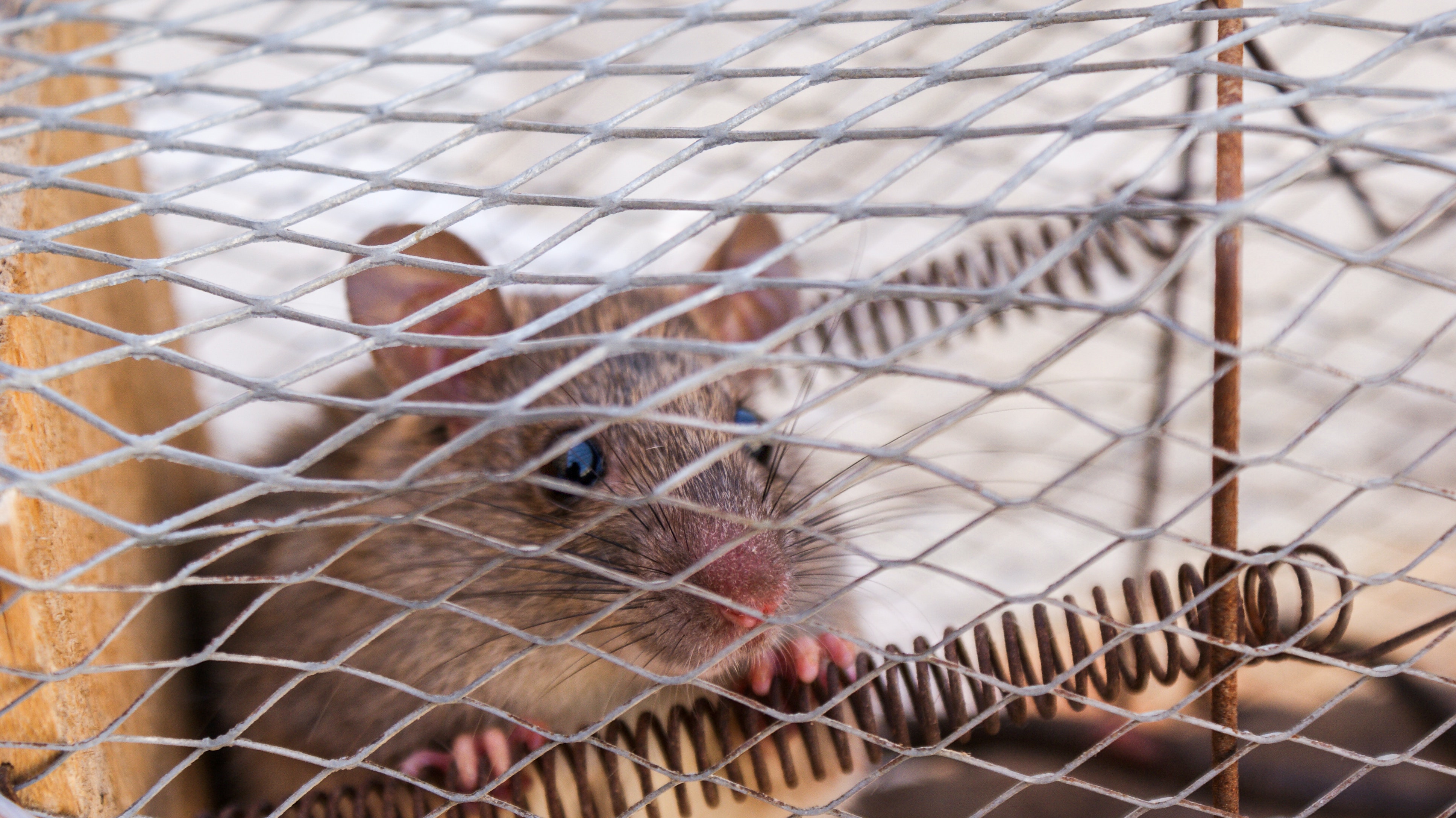 2023_08_22_UNIPEST services (1).jpg (1.25 MB)